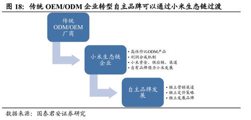 国君纺服 电商旺季买什么股票 新电商 新零售系列报告 三